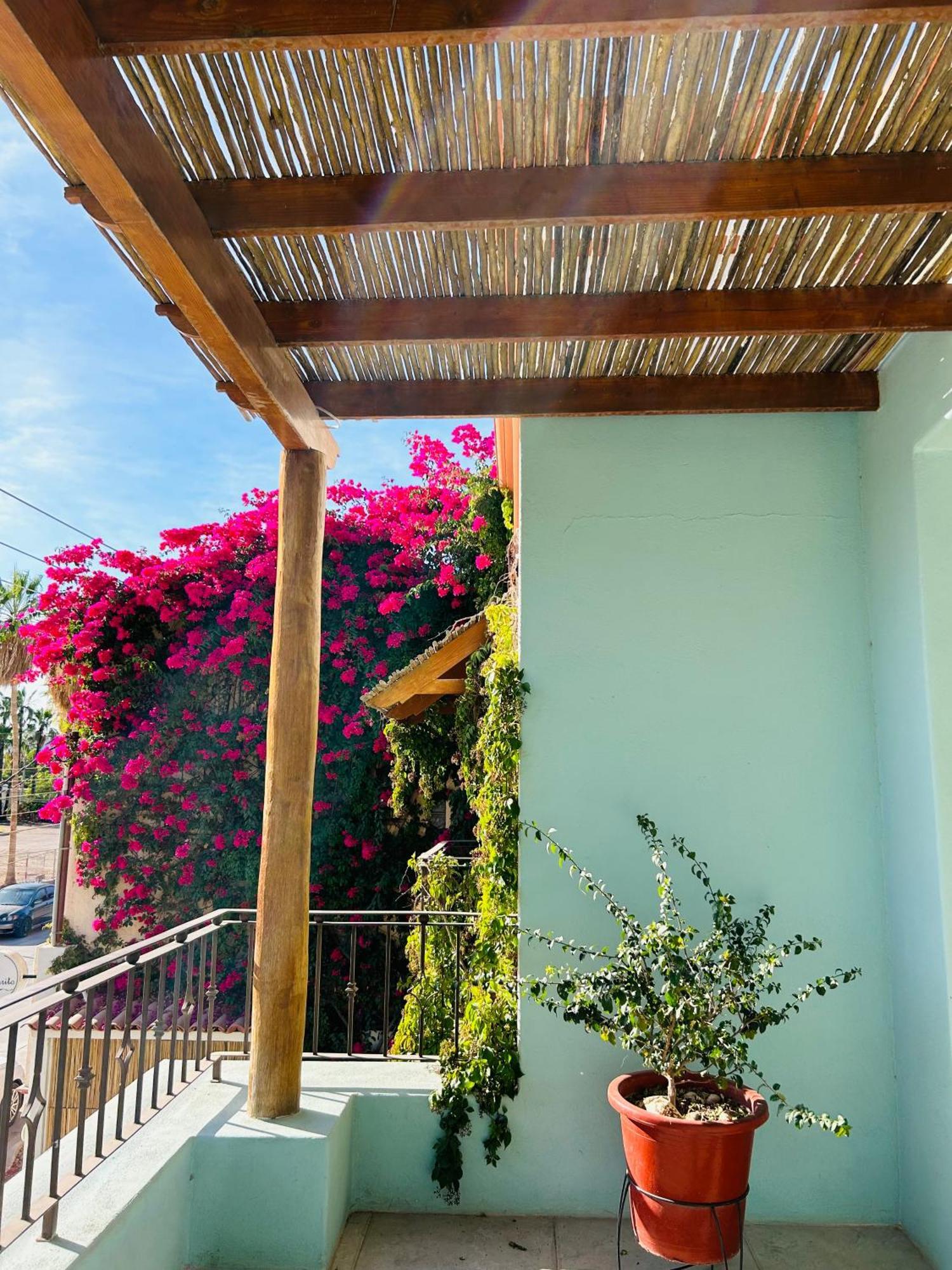 Rosarito Hotel Лорето Экстерьер фото